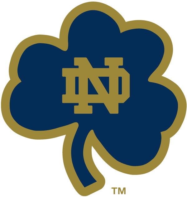 Notre Dame Fighting Irish 1994-Pres Alternate Logo t shirts iron on transfers v18...